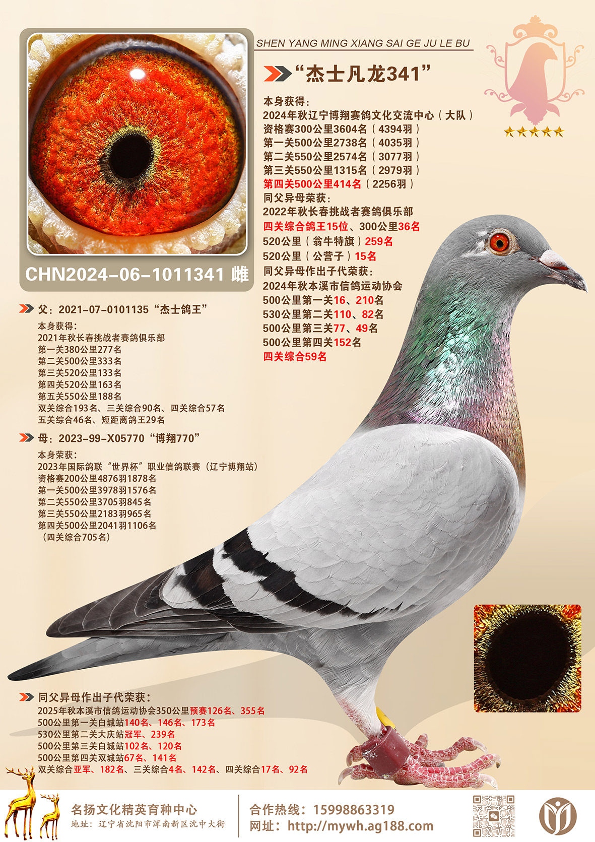 ����ʿ����ֱŮ�������Ŷ�500����414