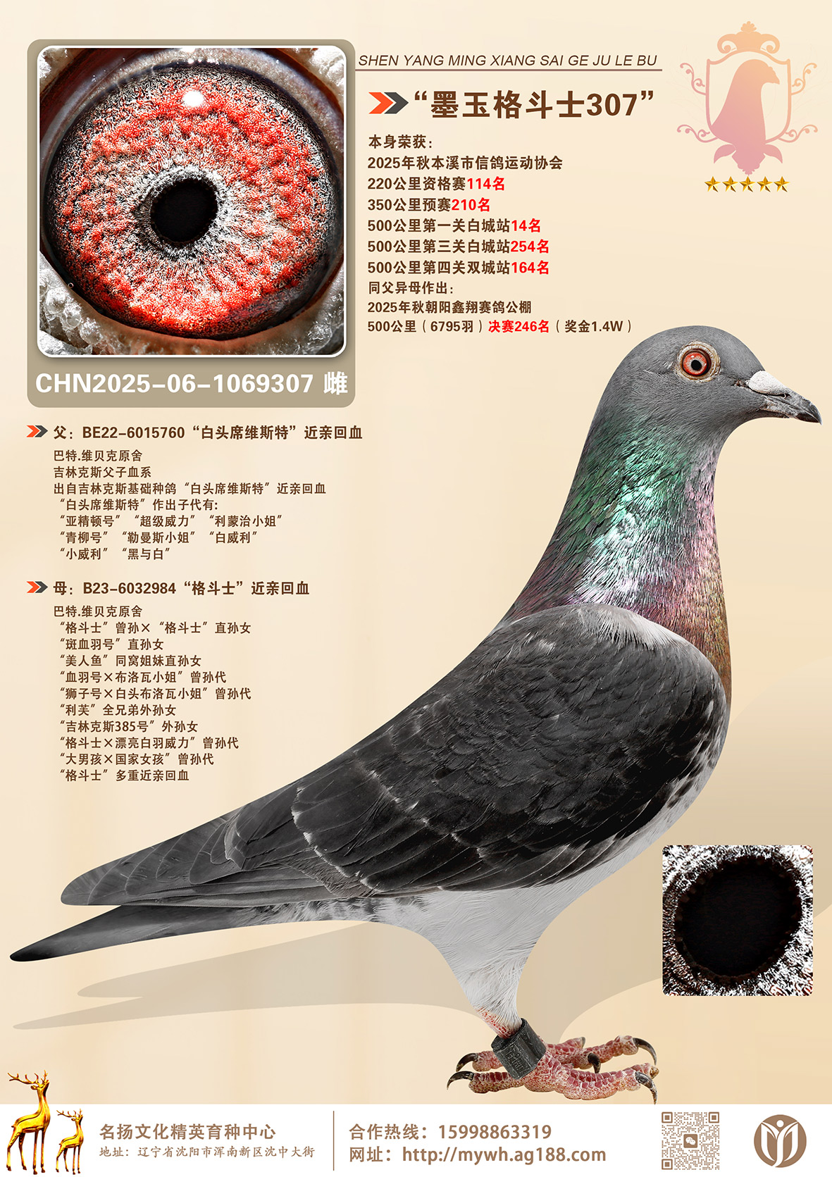 ��ī���ʿ307��500����14��