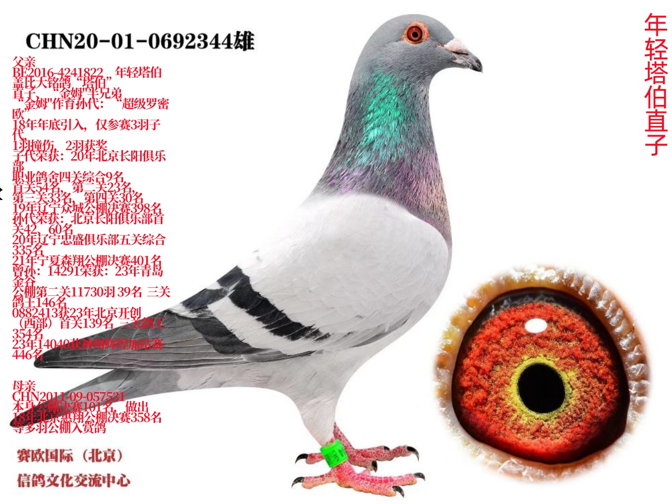 ��������ֱ��