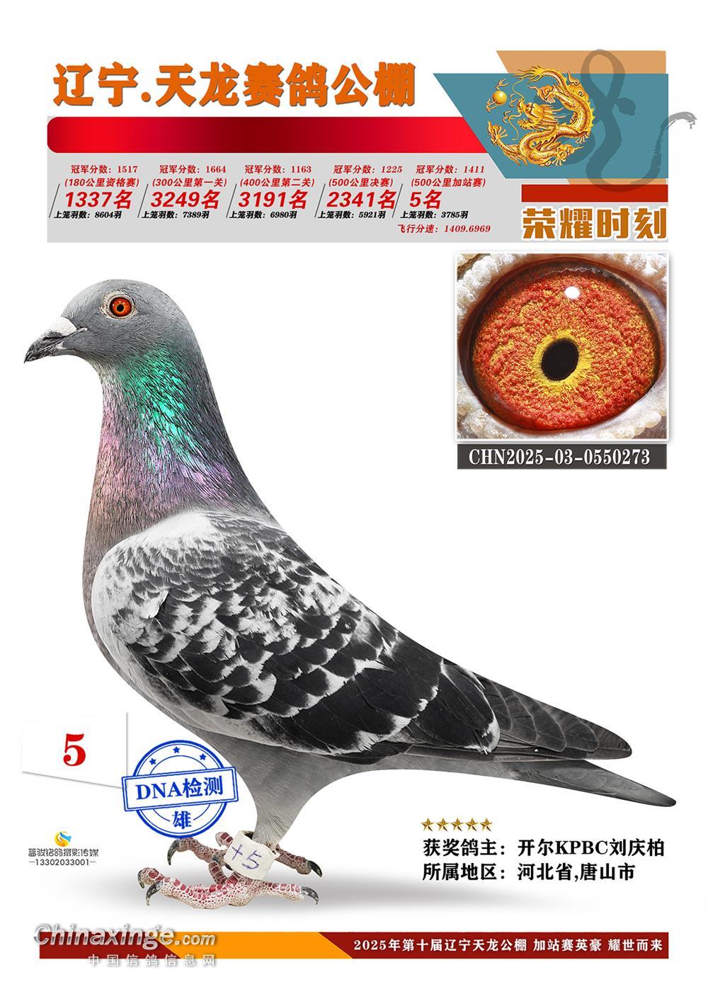 25�����|��������վِ��܊