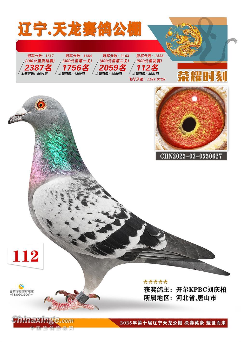 25�����|�������Qِ112��