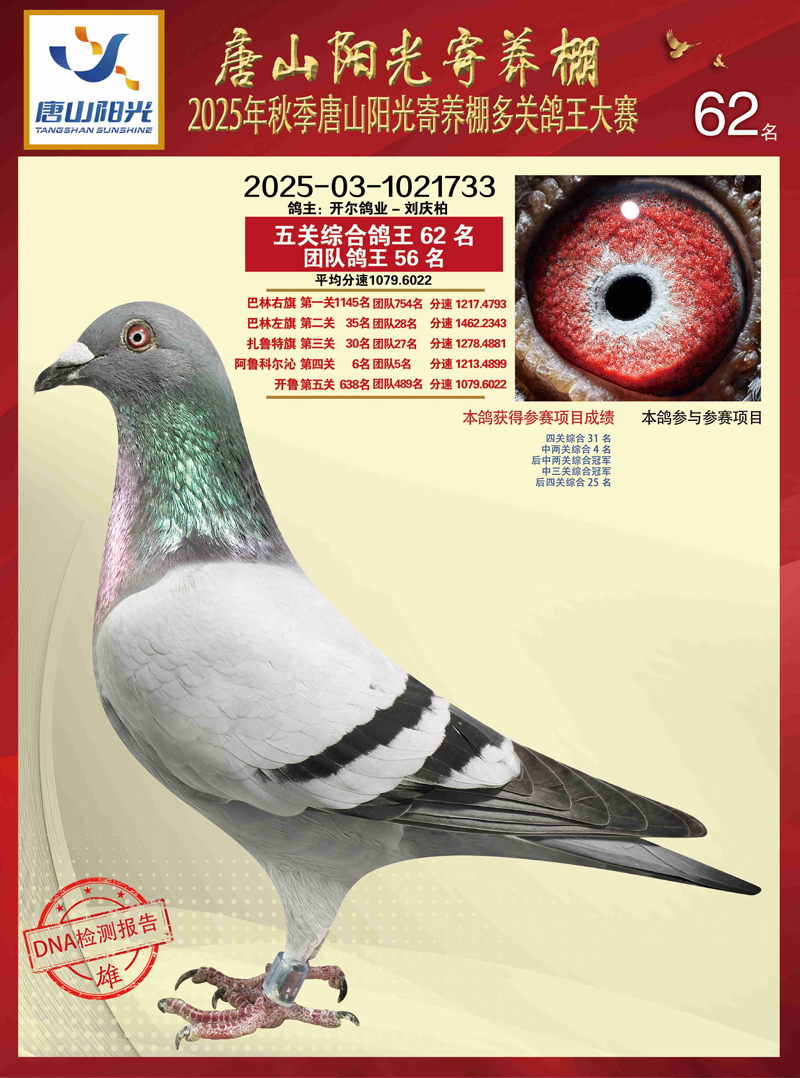 25������ɽꖹ���B(y��ng)�����P(gu��n)����62��