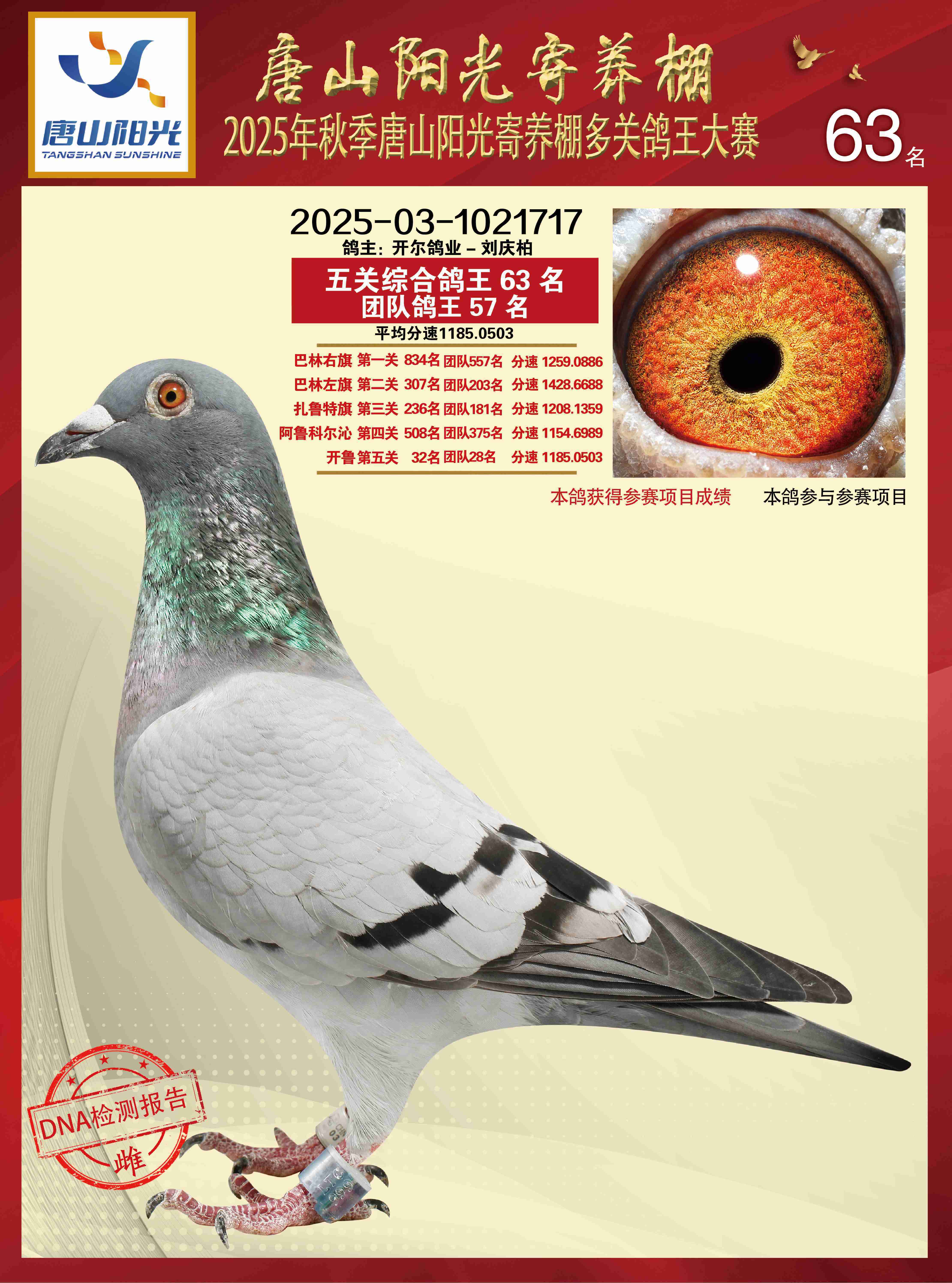 25������ɽ�(y��ng)����B(y��ng)�����P(gu��n)����63��