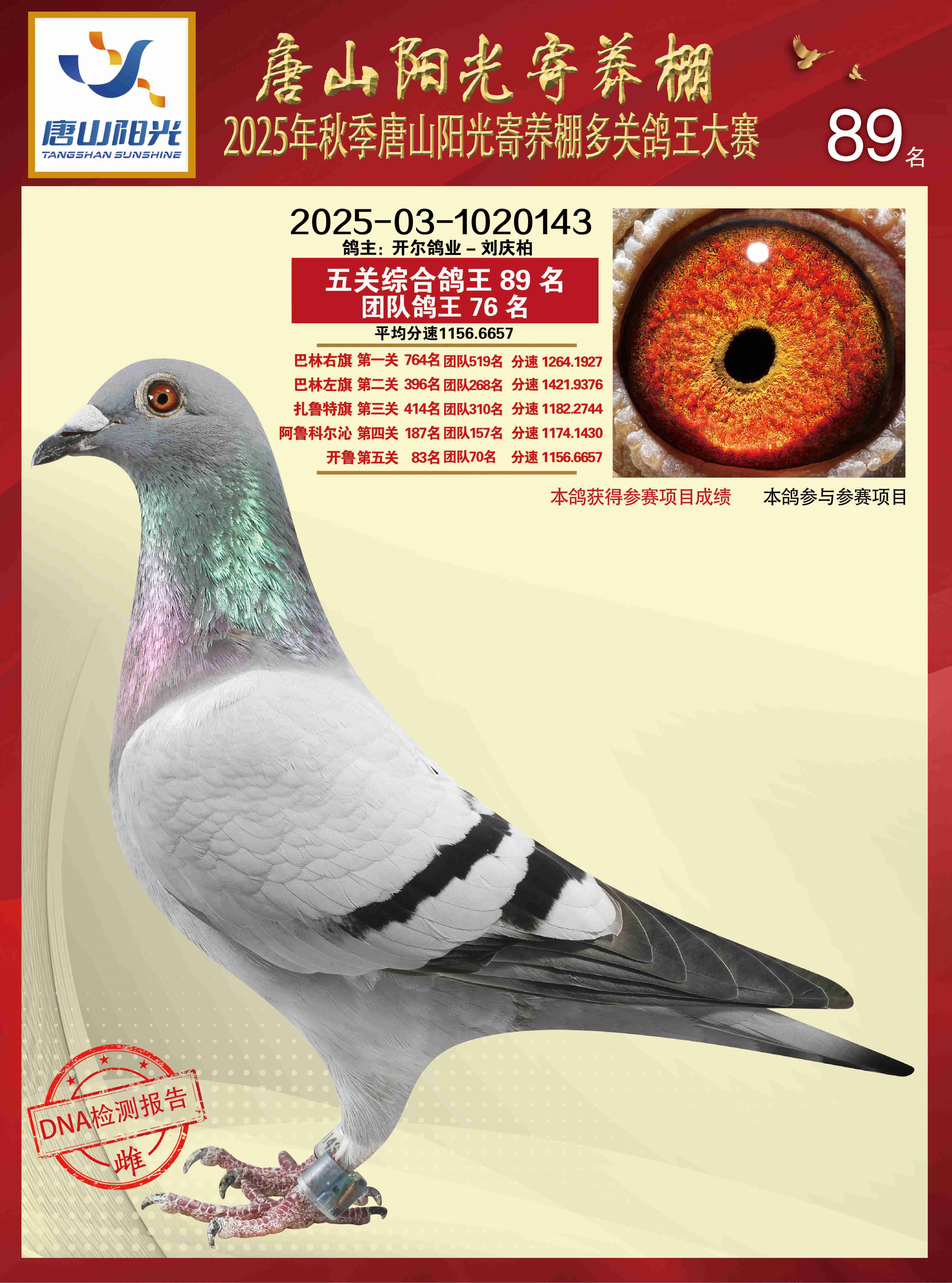 25������ɽꖹ���B(y��ng)�����P(gu��n)����89��