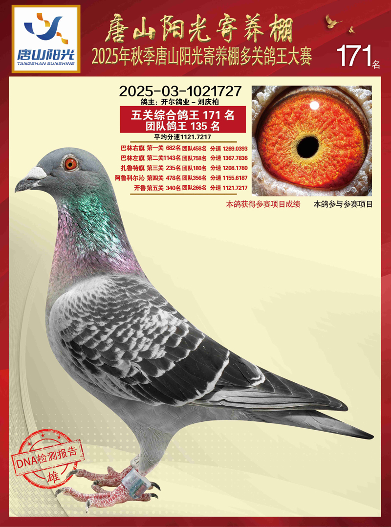 25������ɽ�(y��ng)����B(y��ng)�����P(gu��n)����171��