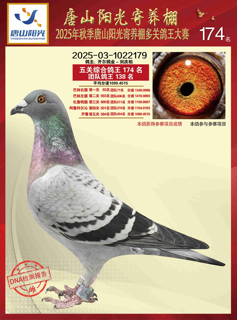 25������ɽꖹ���B(y��ng)�����P(gu��n)����174��