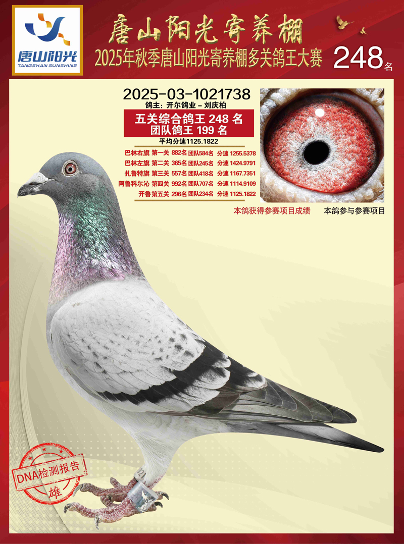 25������ɽ�(y��ng)����B(y��ng)�����P(gu��n)����248��