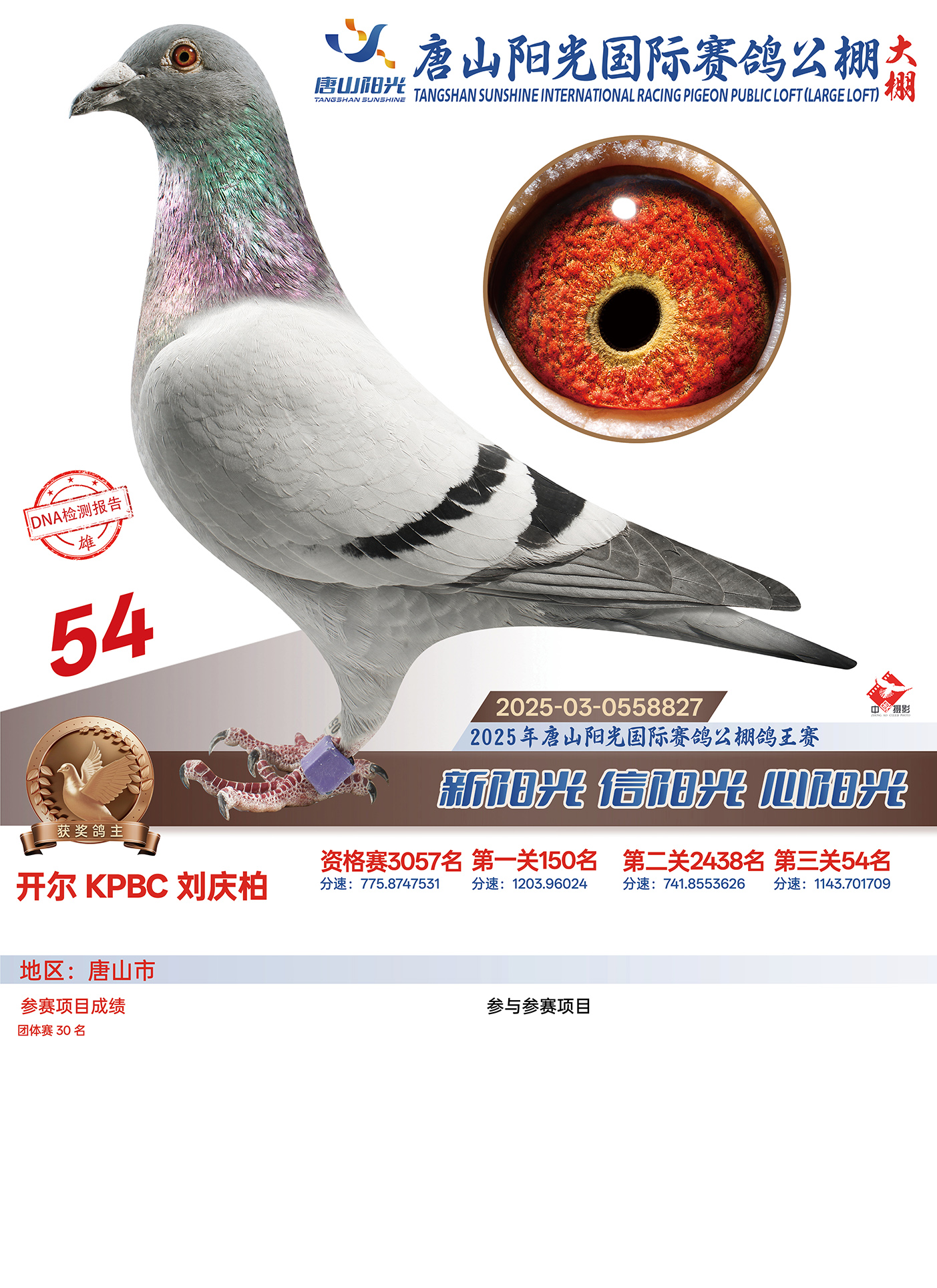 25������ɽꖹ����Qِ54��