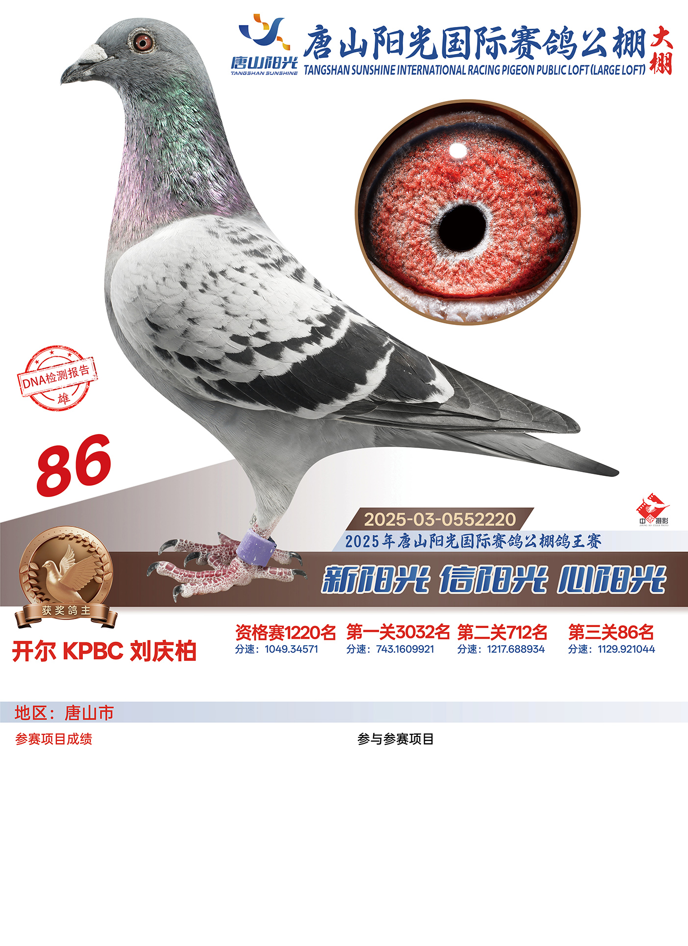 25������ɽꖹ����Qِ86��