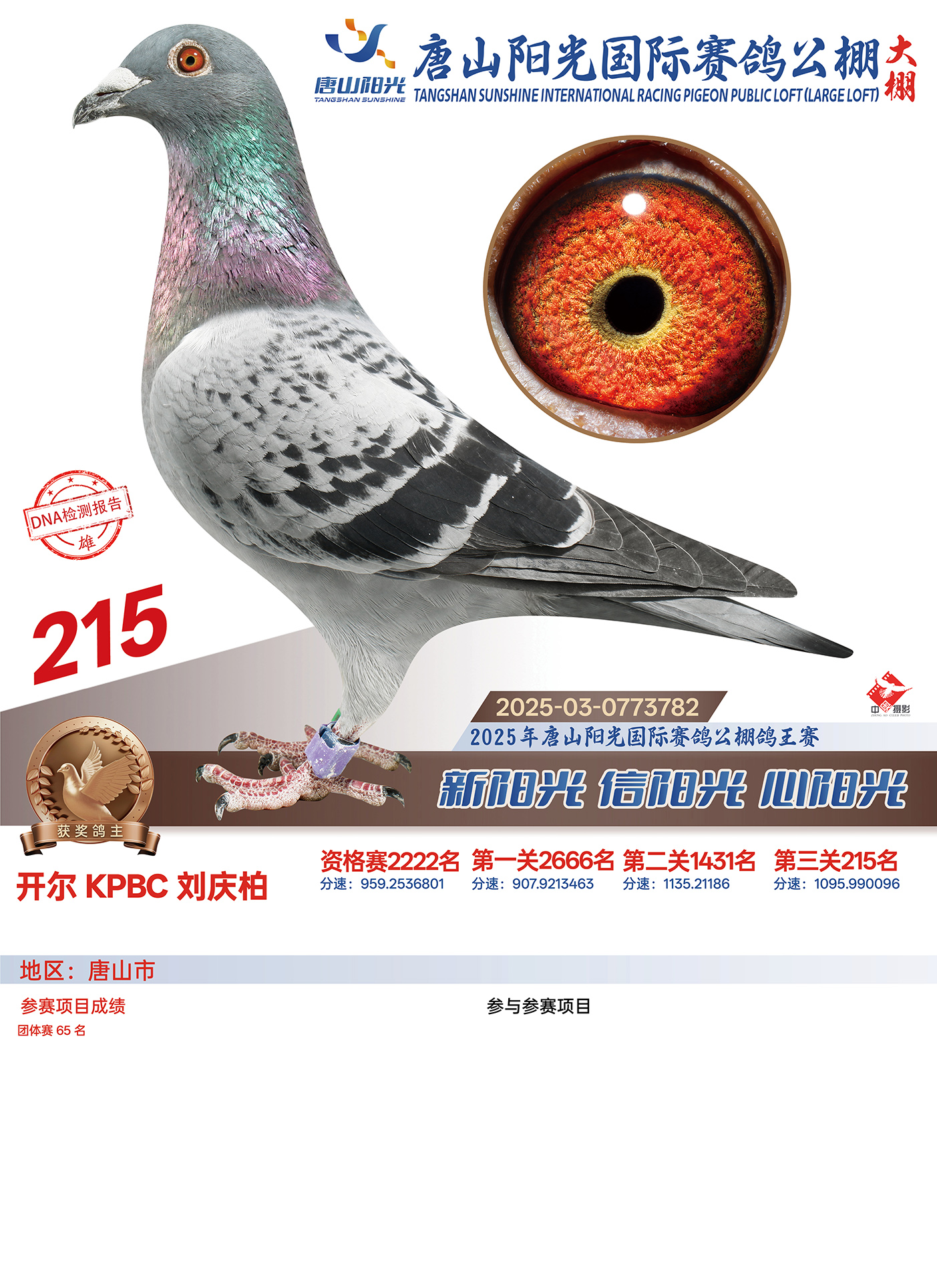 25������ɽꖹ����Qِ215��