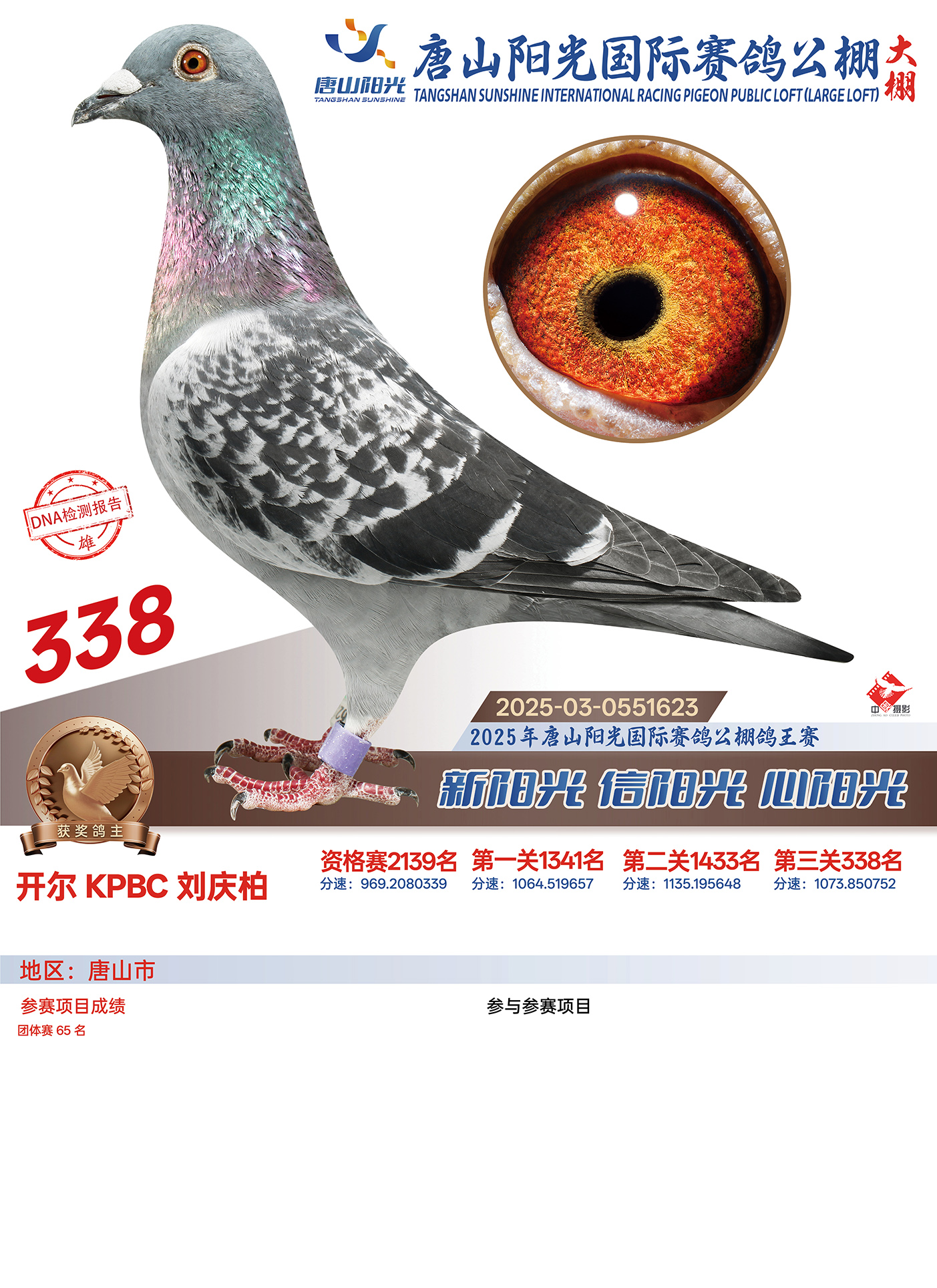 25������ɽꖹ����Qِ338��