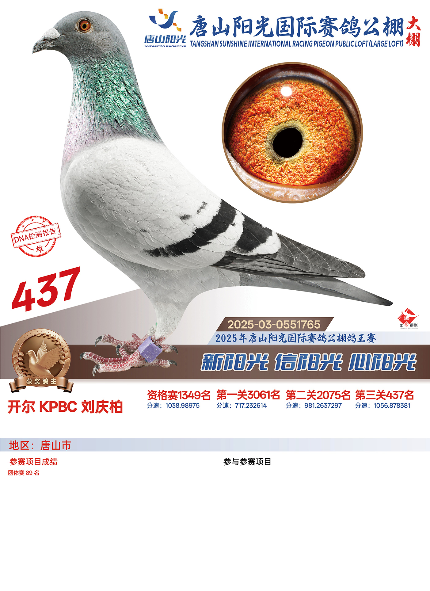 25������ɽꖹ����Qِ437��