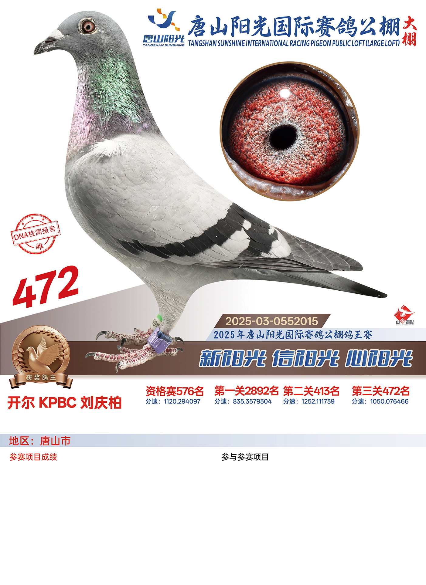 25������ɽꖹ����Qِ472��