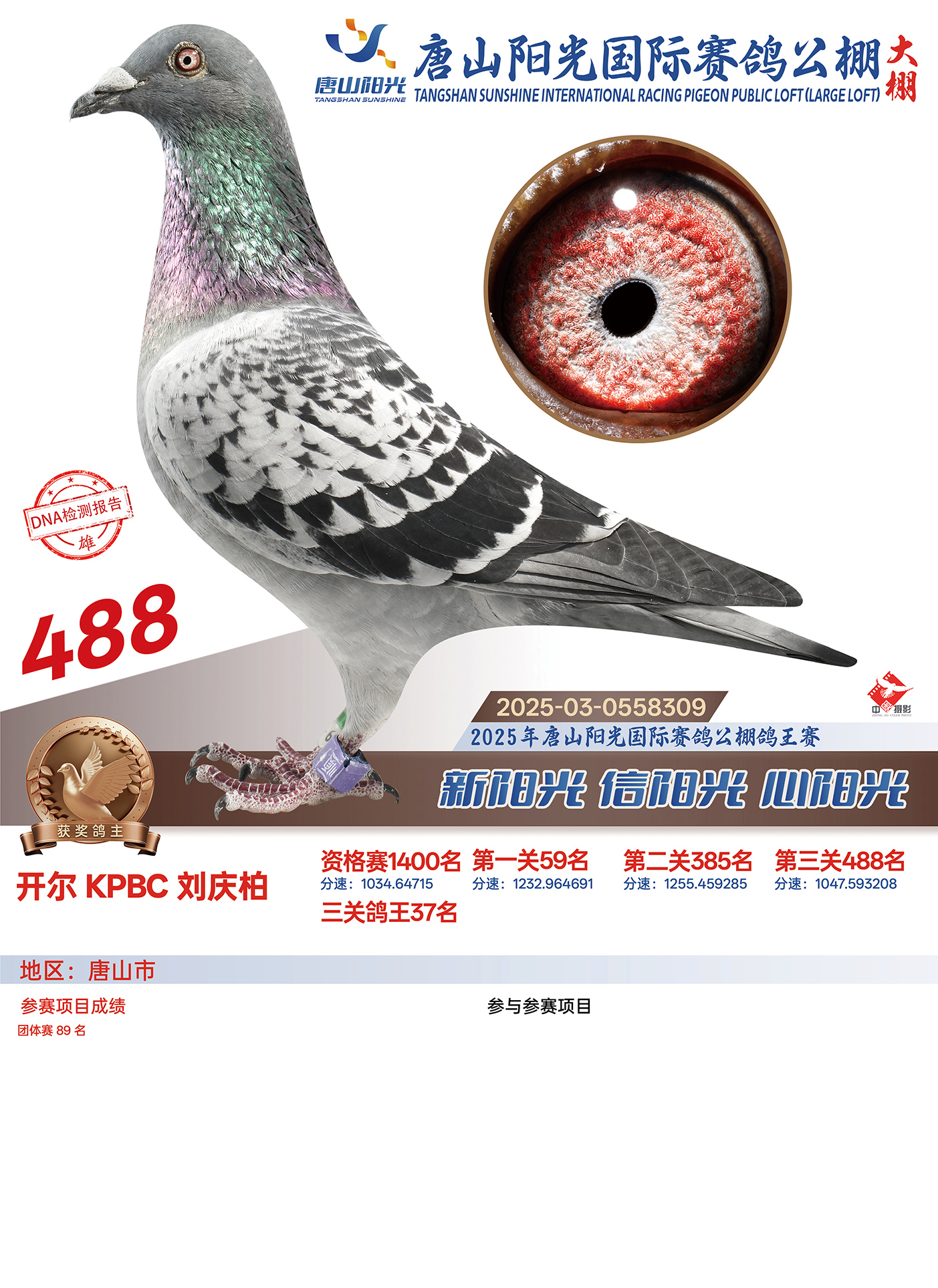 25������ɽ�(y��ng)�����Qِ488��