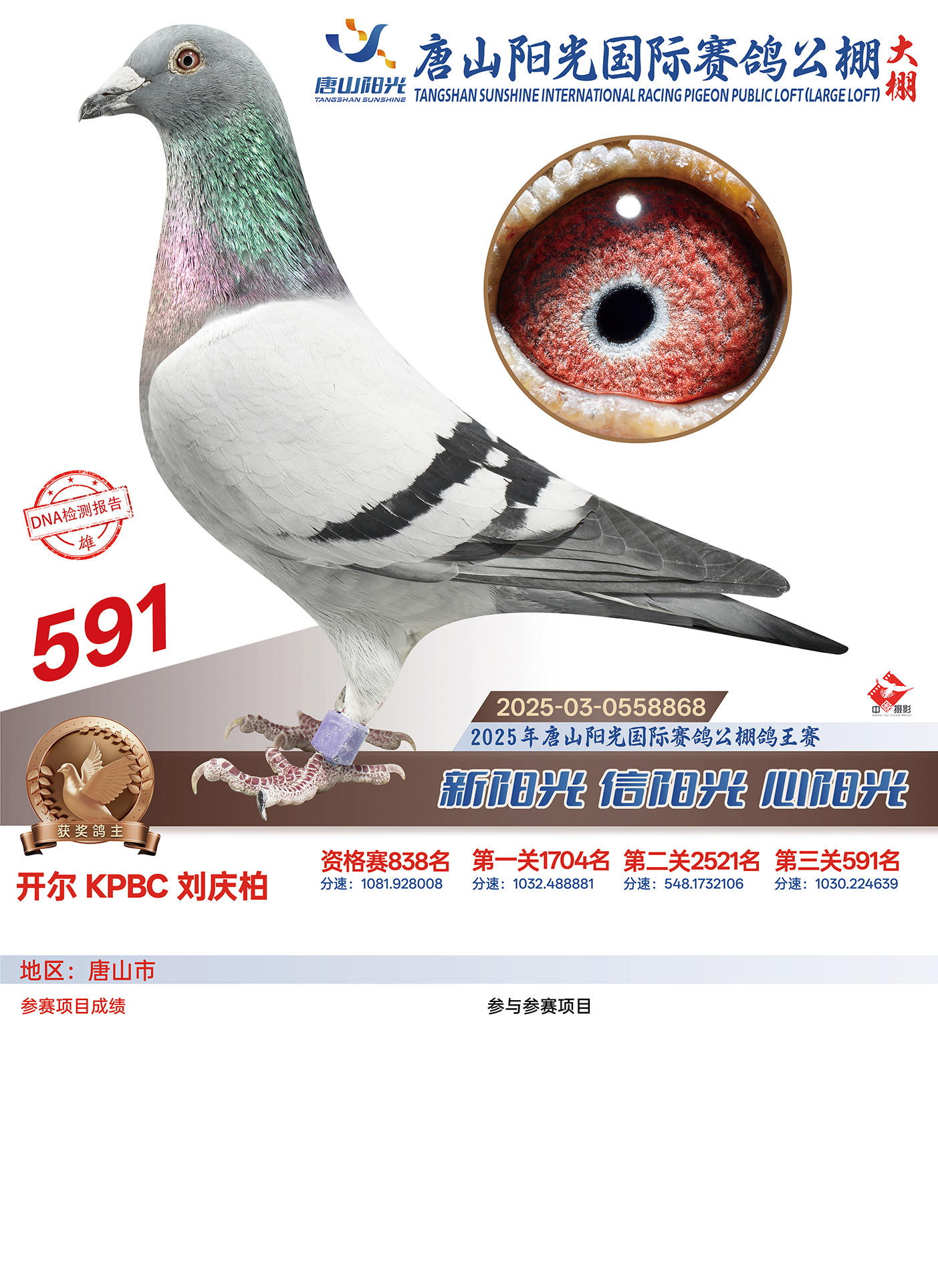 25������ɽꖹ����Qِ591��