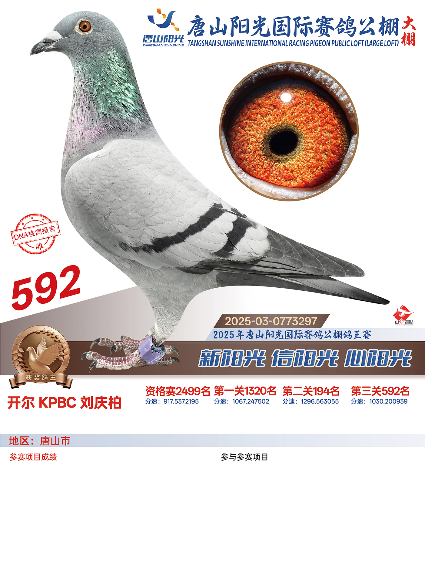 25������ɽꖹ����Qِ592��