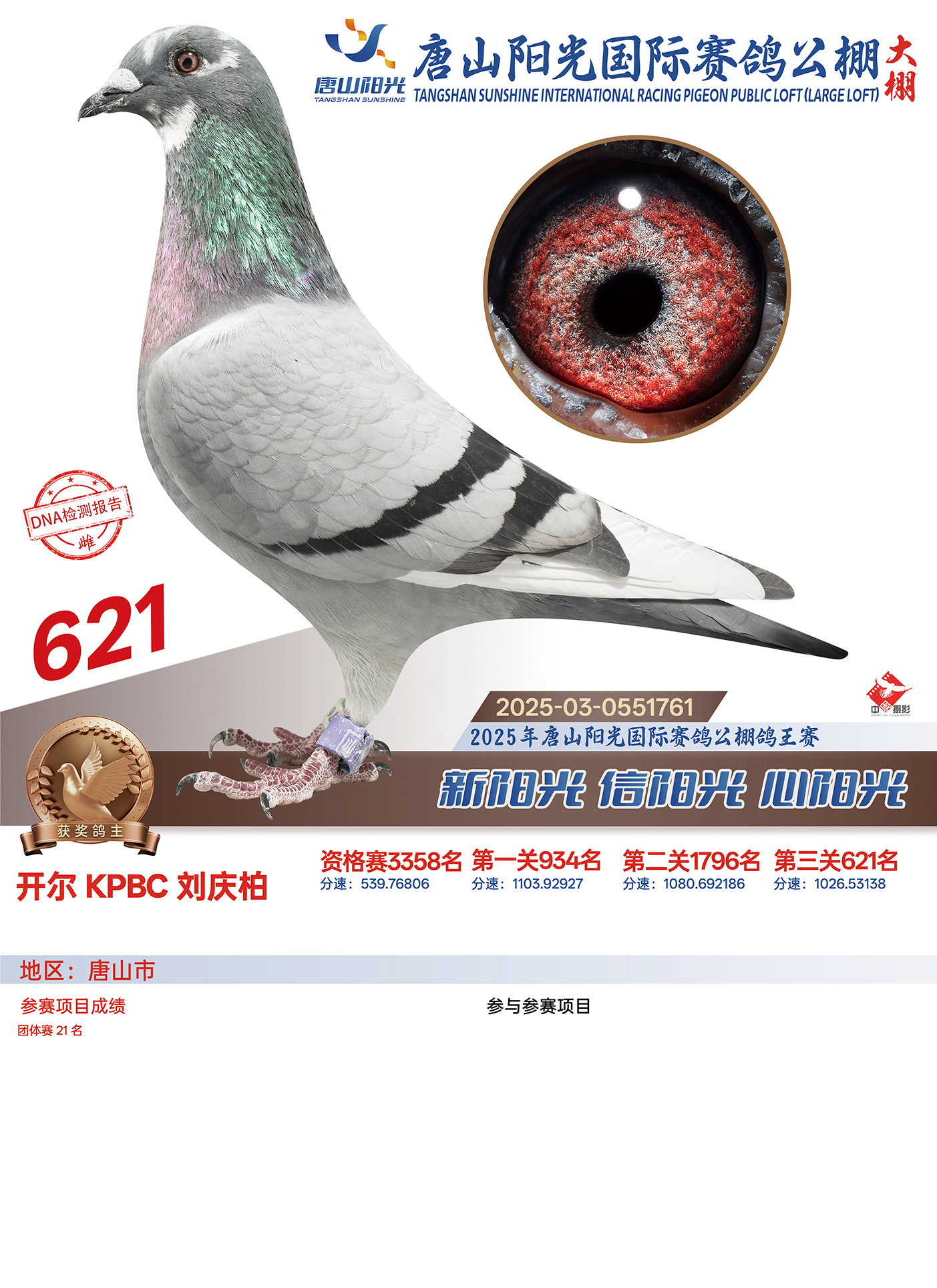 25������ɽ�(y��ng)�����Qِ621��