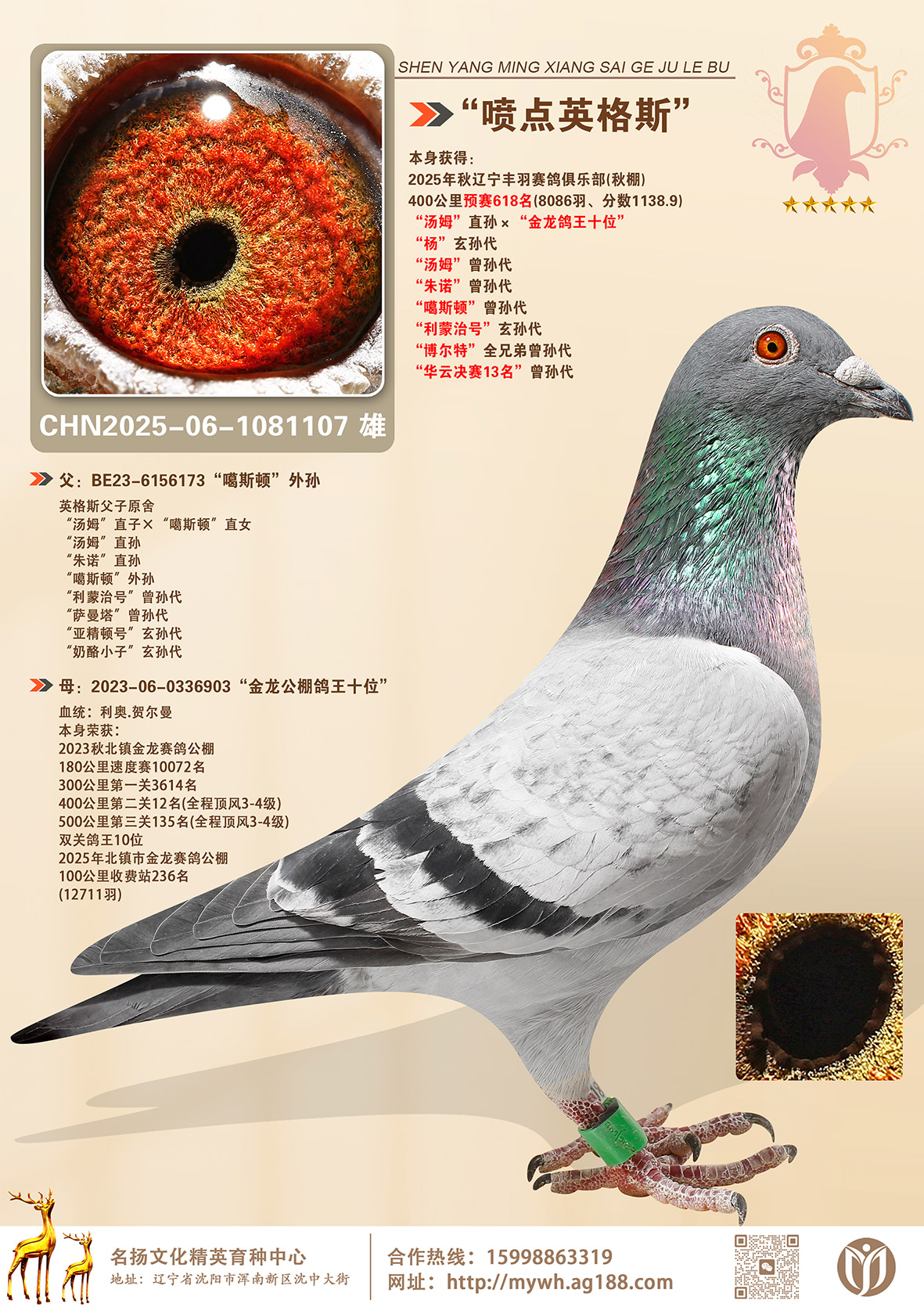 �����Ӣ��˹������ķ������� ����ŵ����