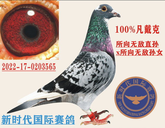 �������޵С����� x �������޵С�����Ů