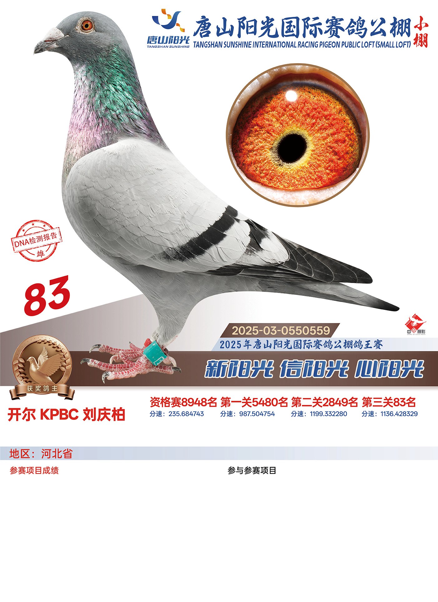 25������ɽꖹ�С��Qِ83��