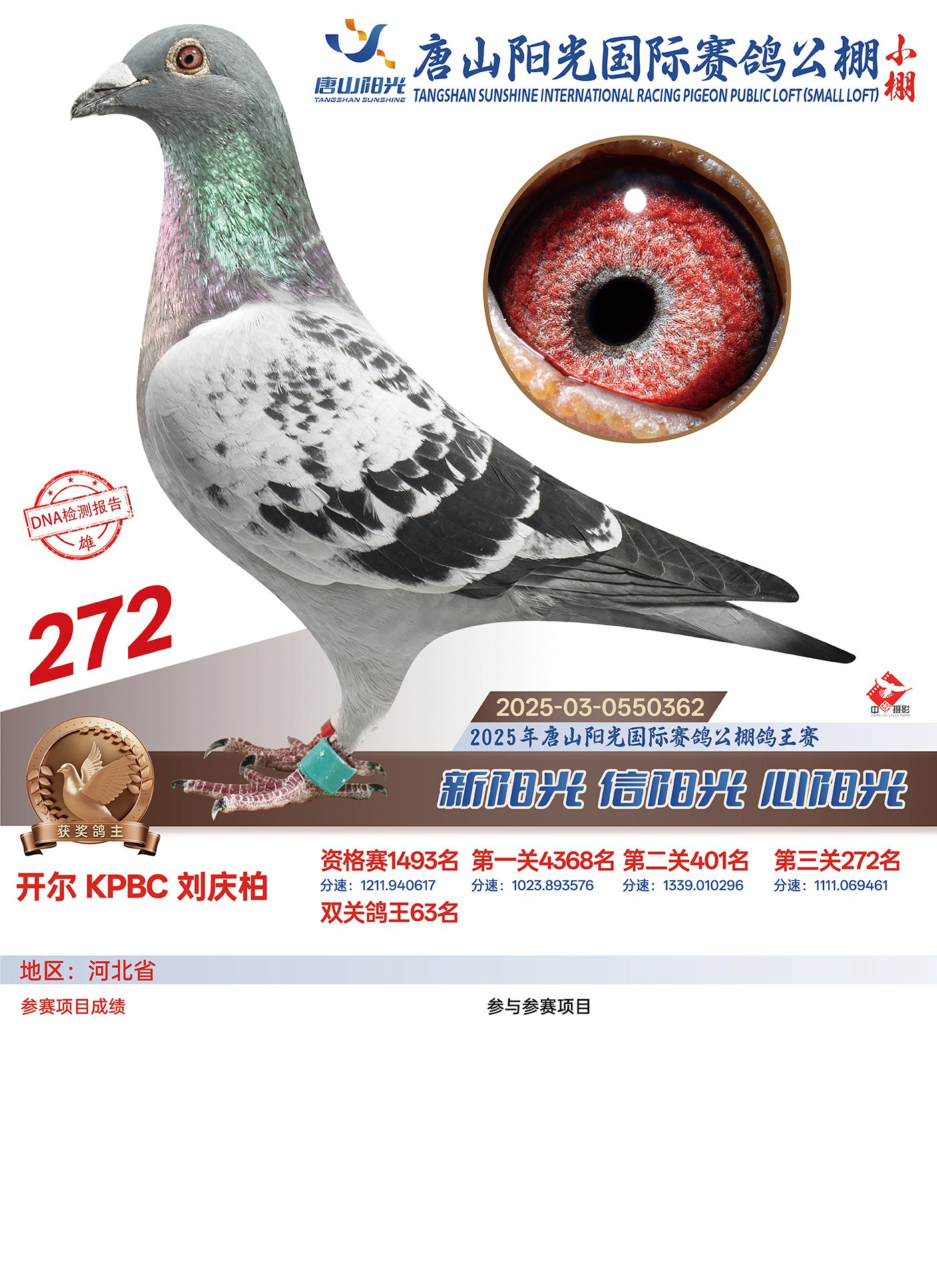 25������ɽꖹ�С��Qِ272��