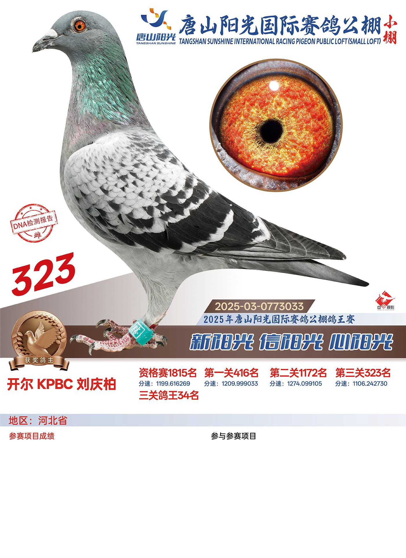 25������ɽ�(y��ng)��С��Qِ323��