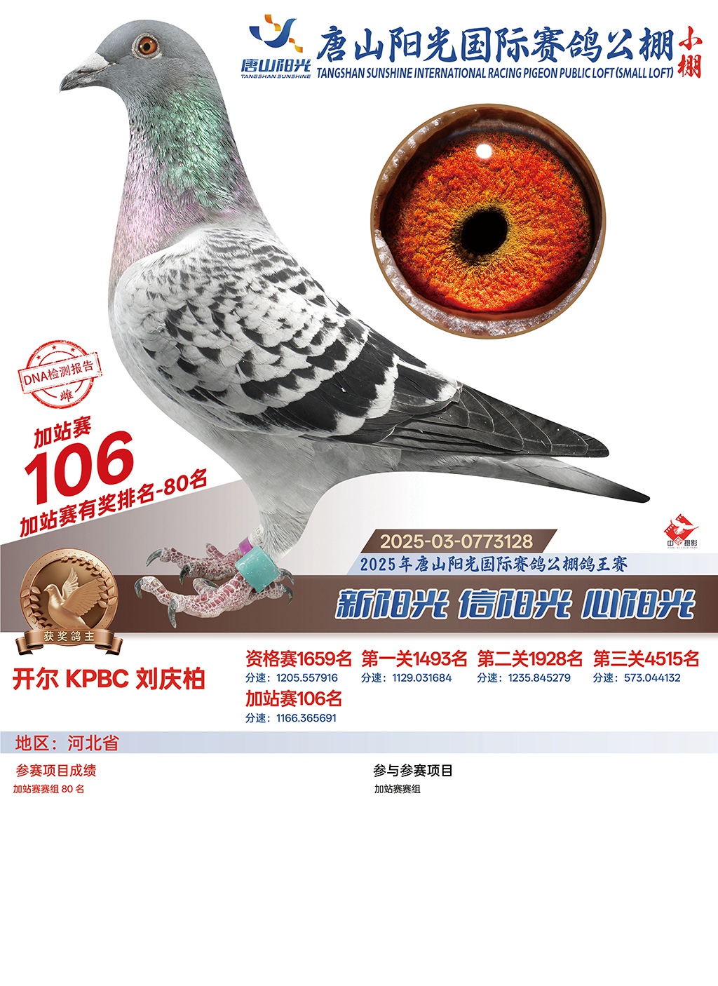 25������ɽꖹ�С���վِ80��