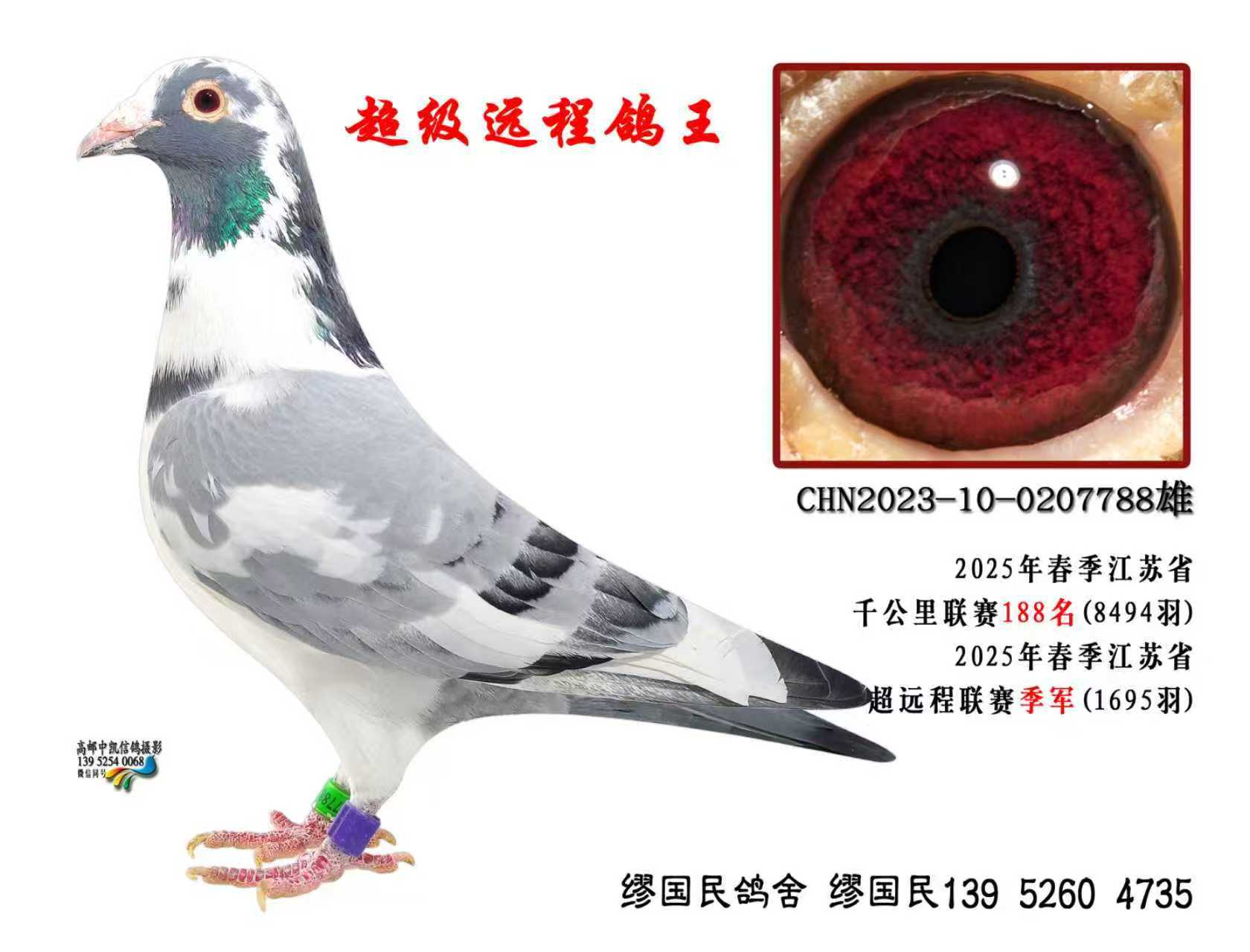 2025������ʡ��Զ����������