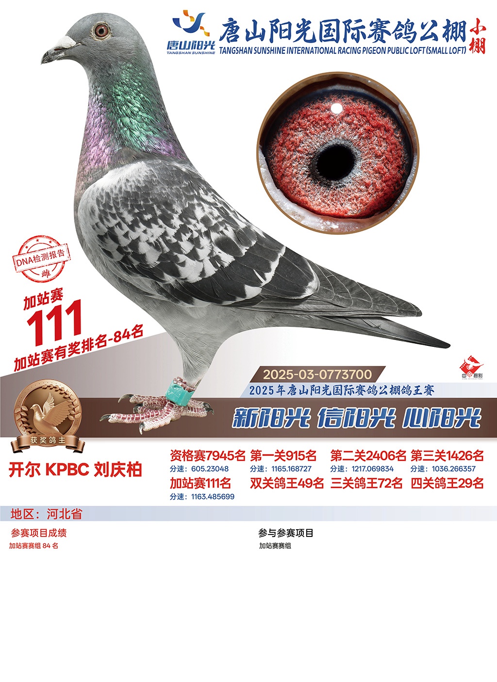 25������ɽꖹ�С���վِ84��