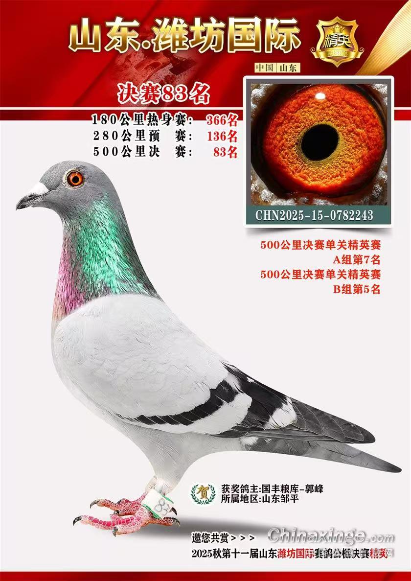 Ϋ���������빫�����83��