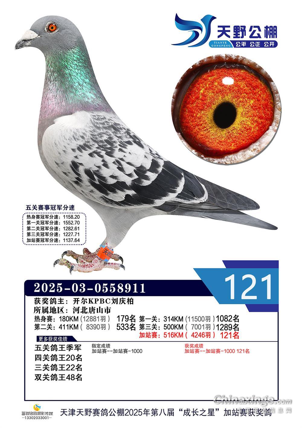 25���������Ұ���P(gu��n)������܊