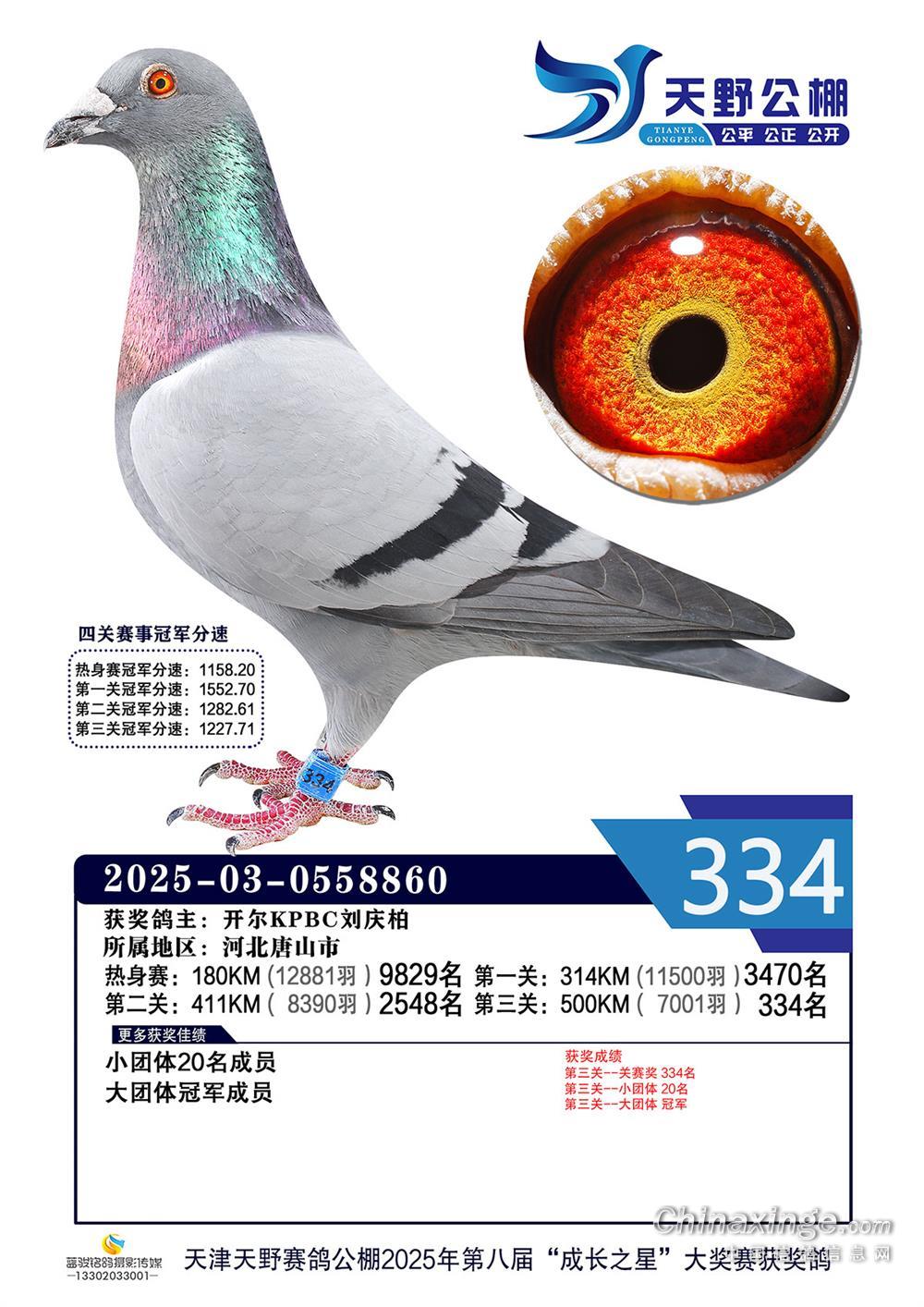 25���������Ұ�Qِ334��