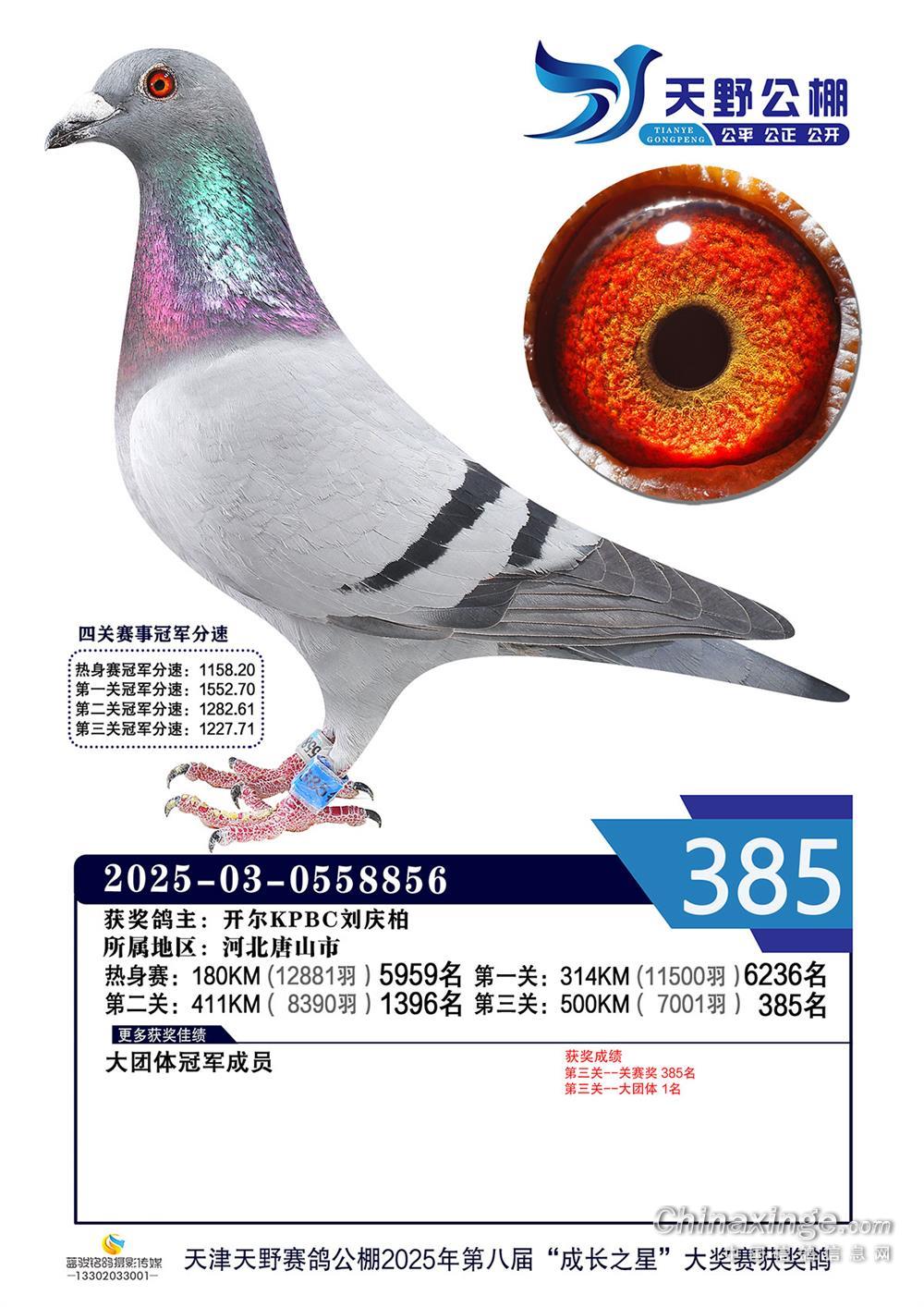 25���������Ұ�Qِ385��