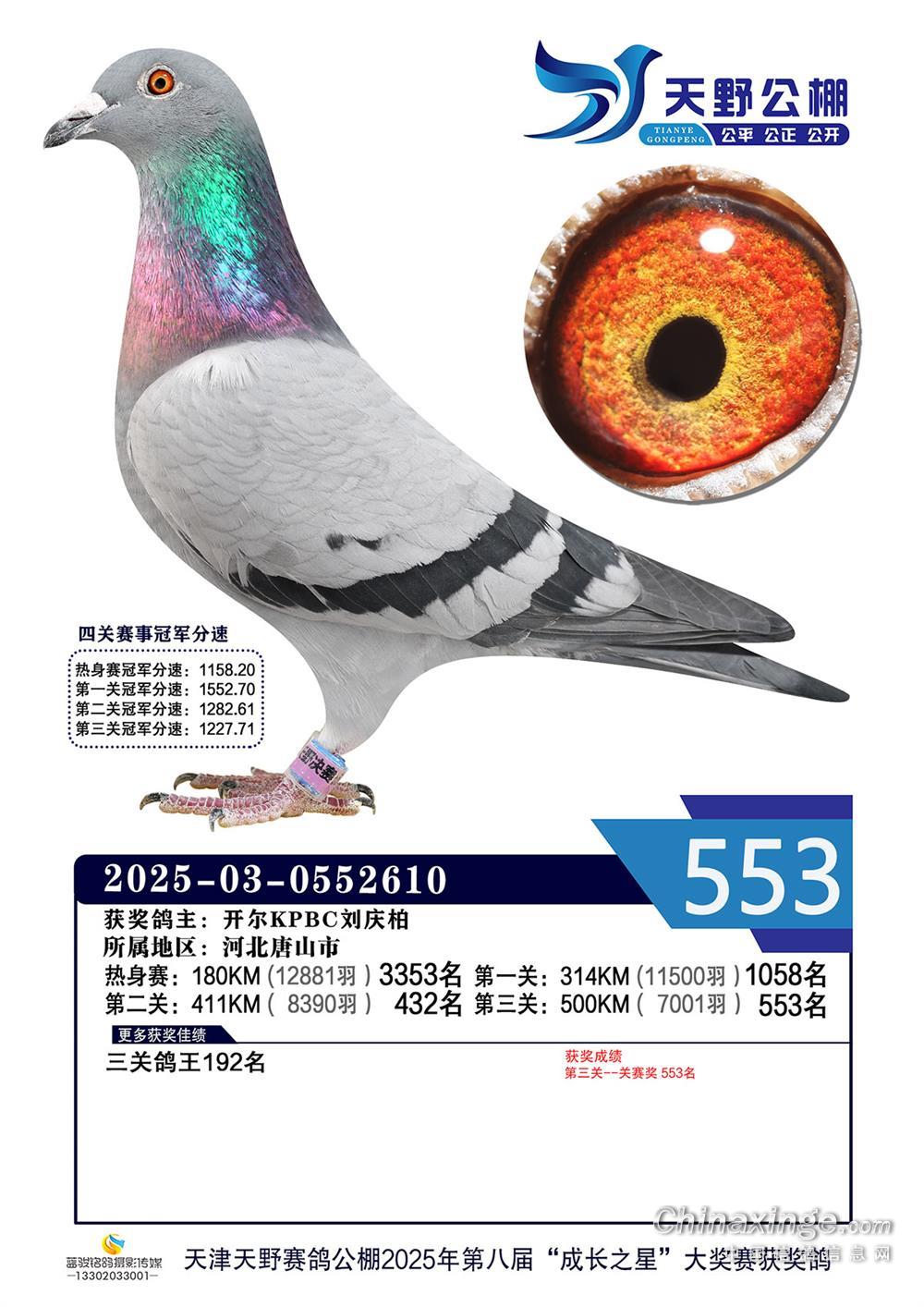 25���������Ұ�Qِ553��