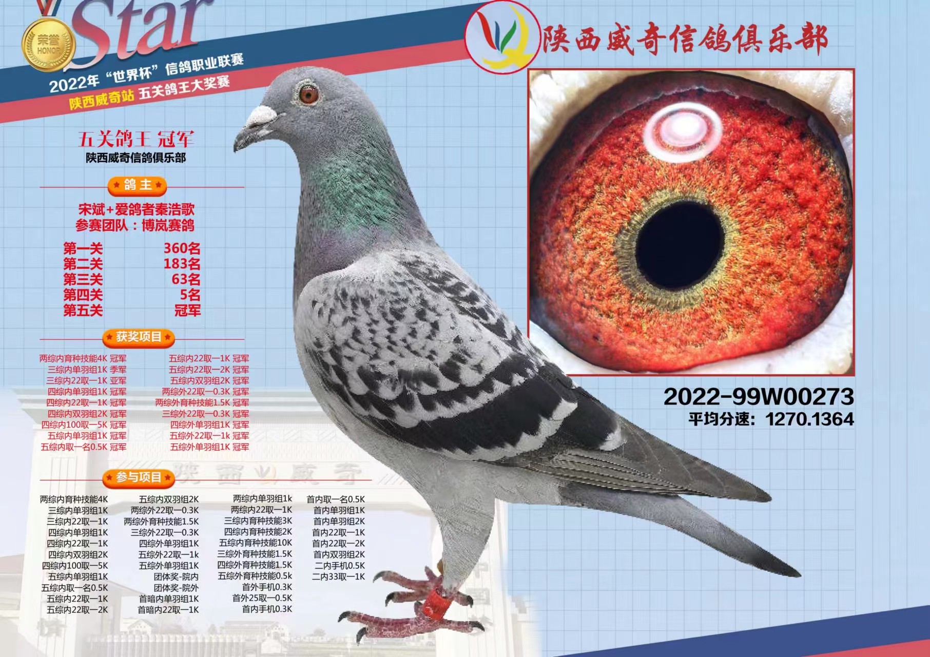 �������籭����ܹھ�