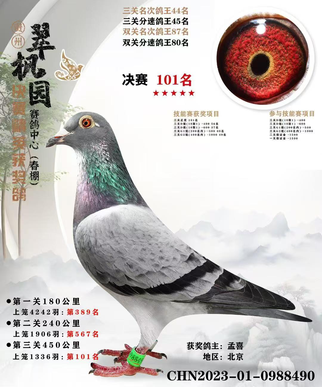 ���ݴ��԰101��