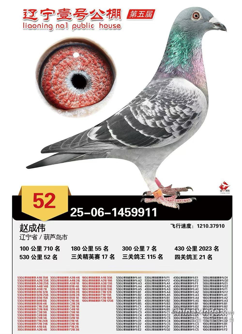 ����С��911