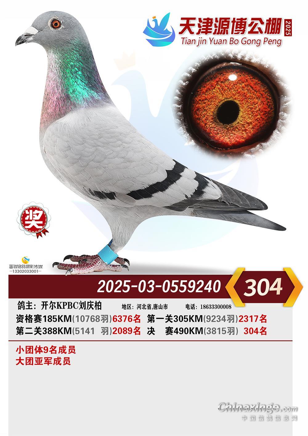 25�������Դ���Qِ304��