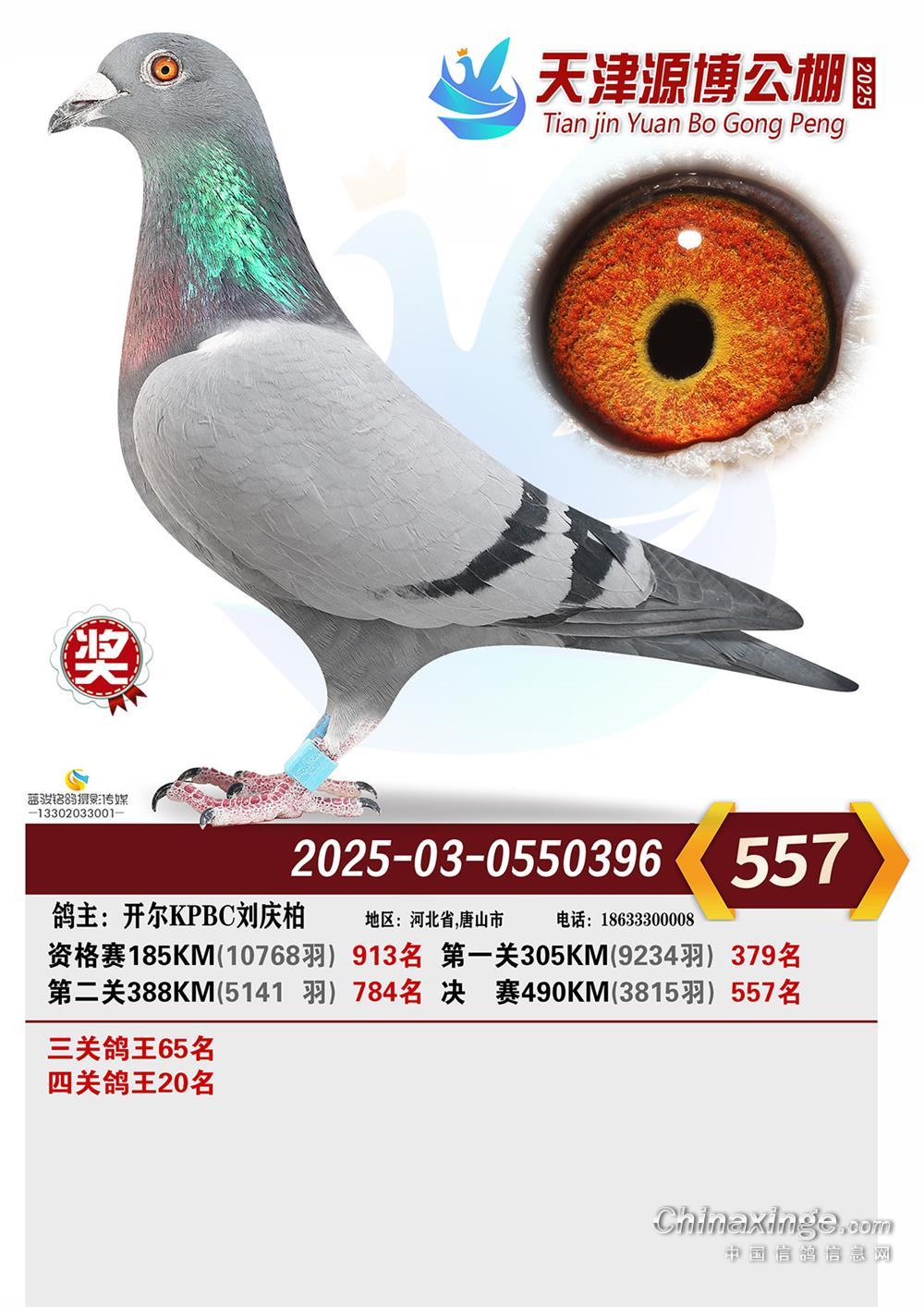 25����Դ�����P(gu��n)����20�����Qِ557��