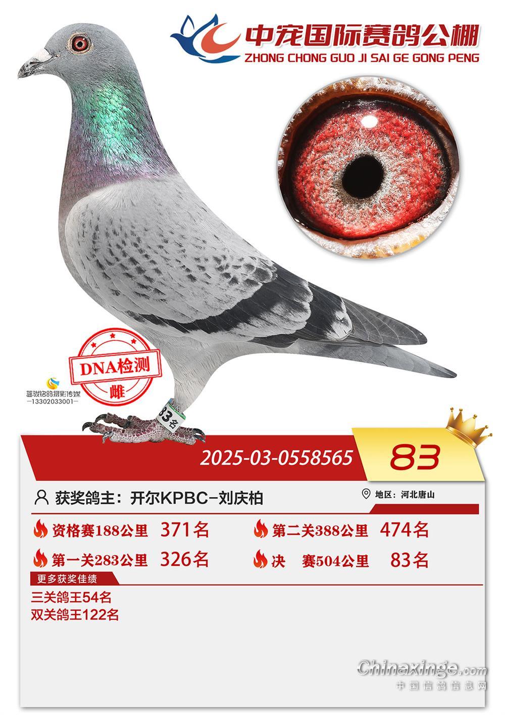 25��������Ќ����H�Qِ83��