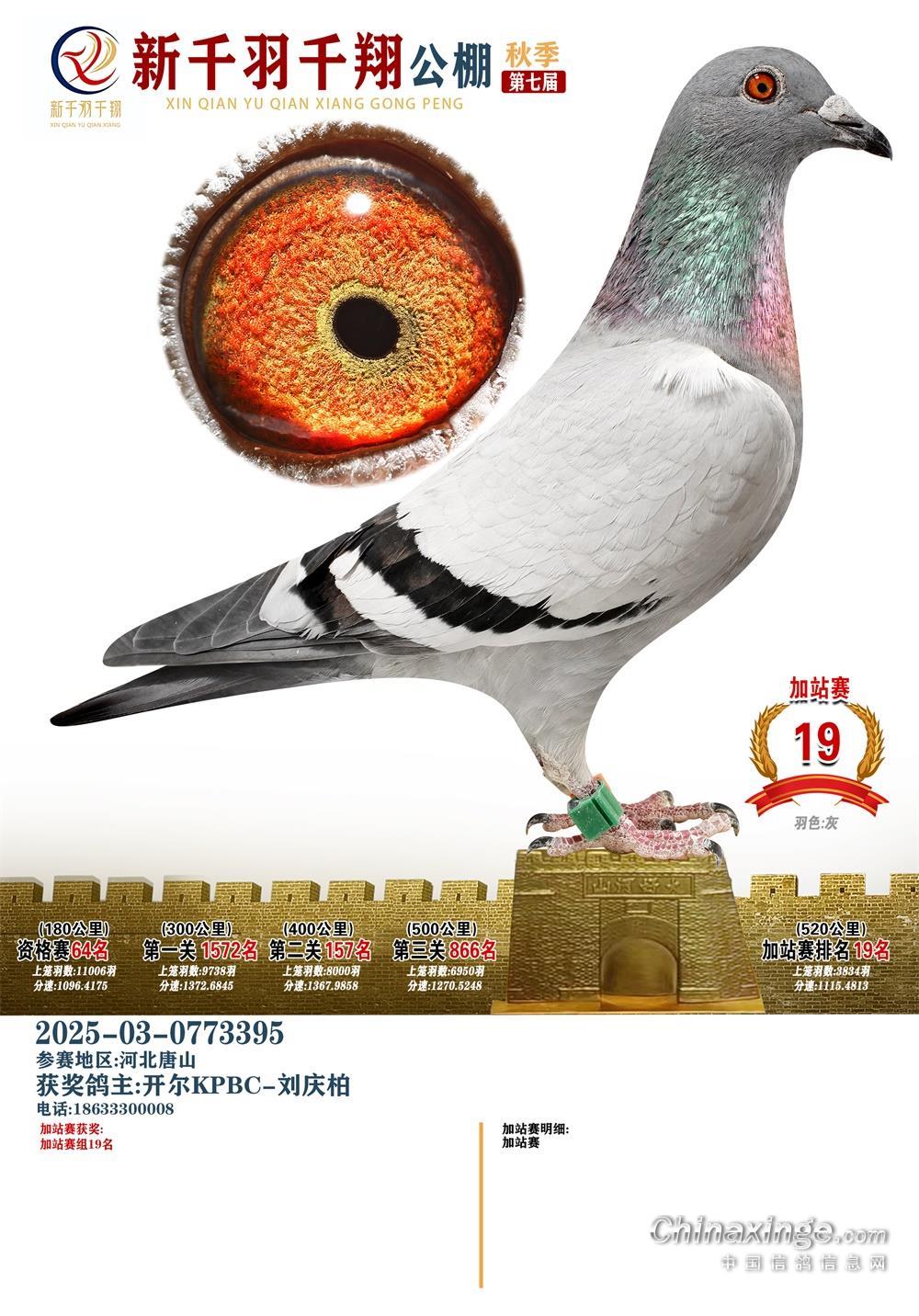 25����ҿ���ǧ��ǧ���վِ19��