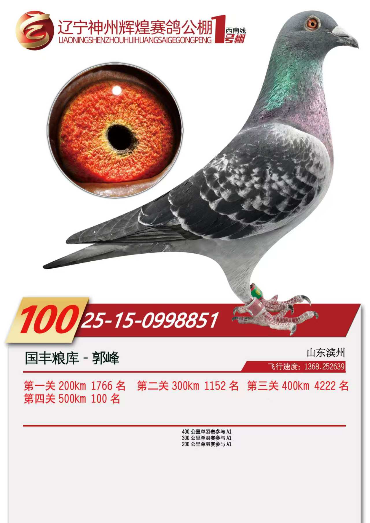 ���ݻԻ����빫�����100��