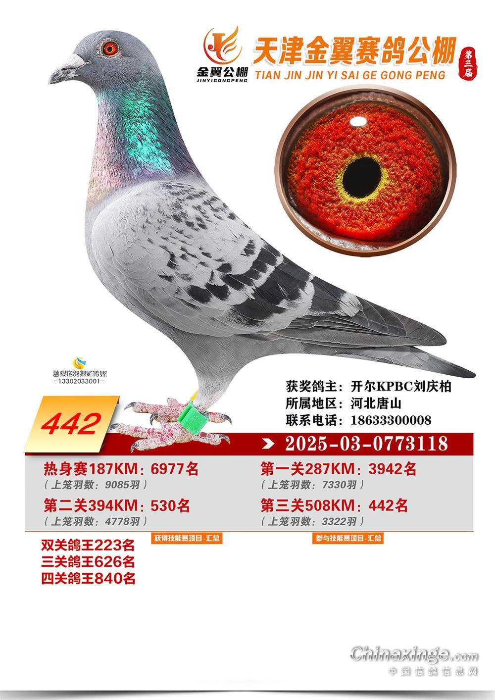 25����������Qِ442��