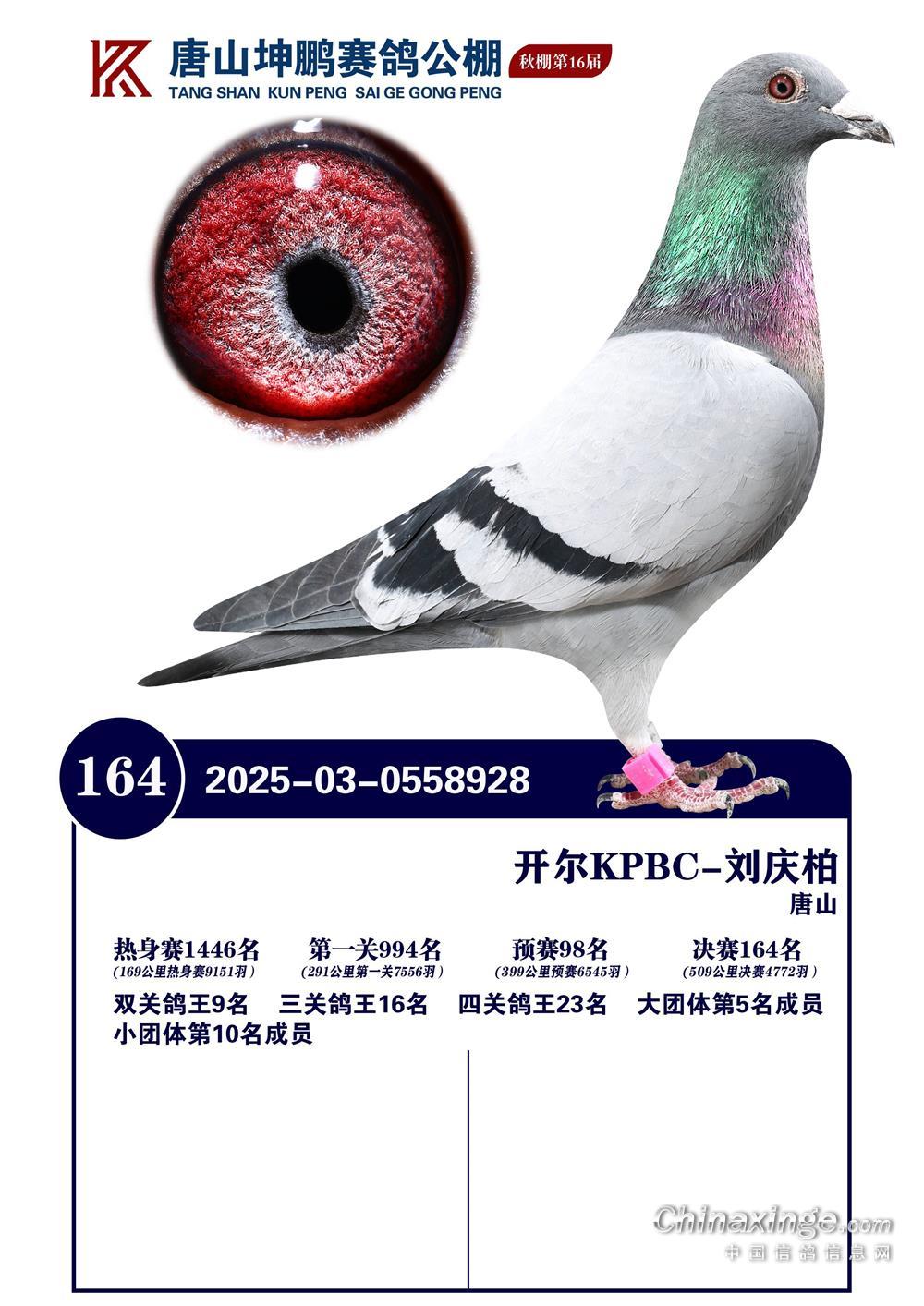 25�������i���P(gu��n)����23�����Qِ164��