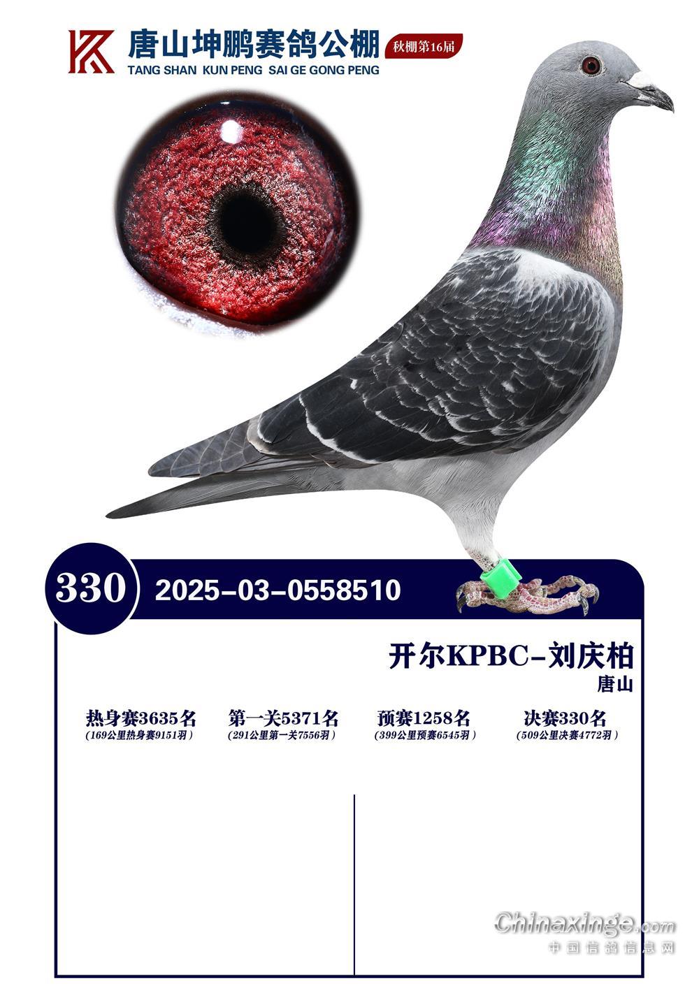 25����ӱ���ɽ���i�Qِ330��