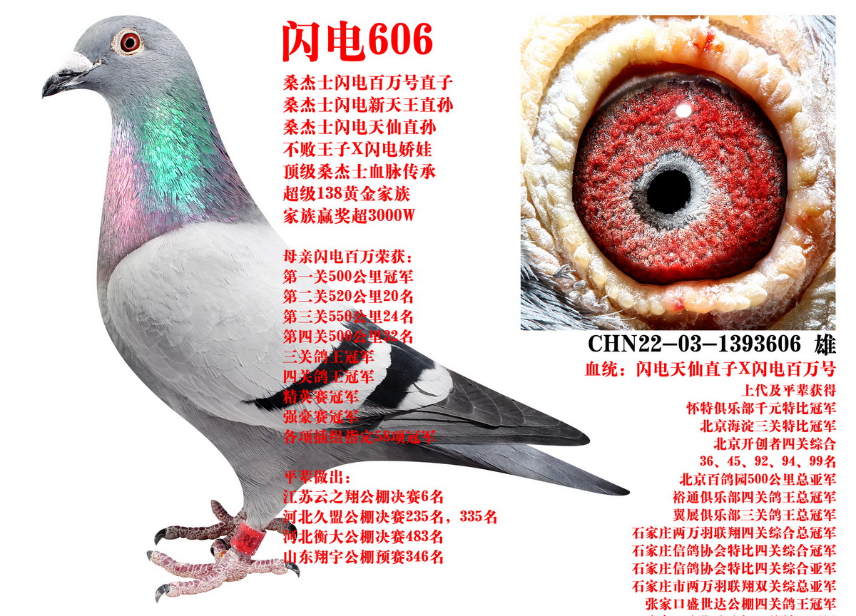 ɣ��ʿ ����606