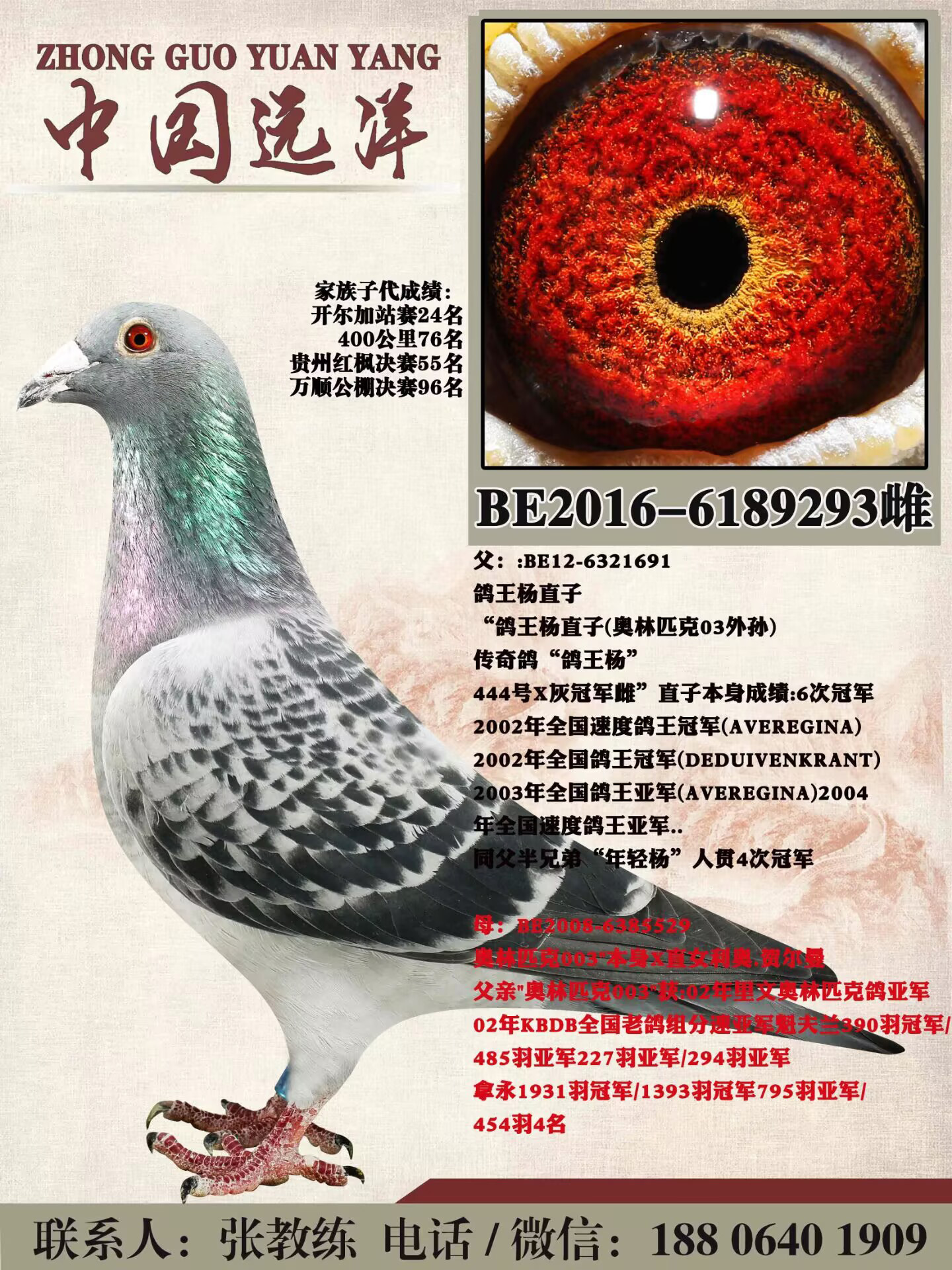 ������ֱ��Ů