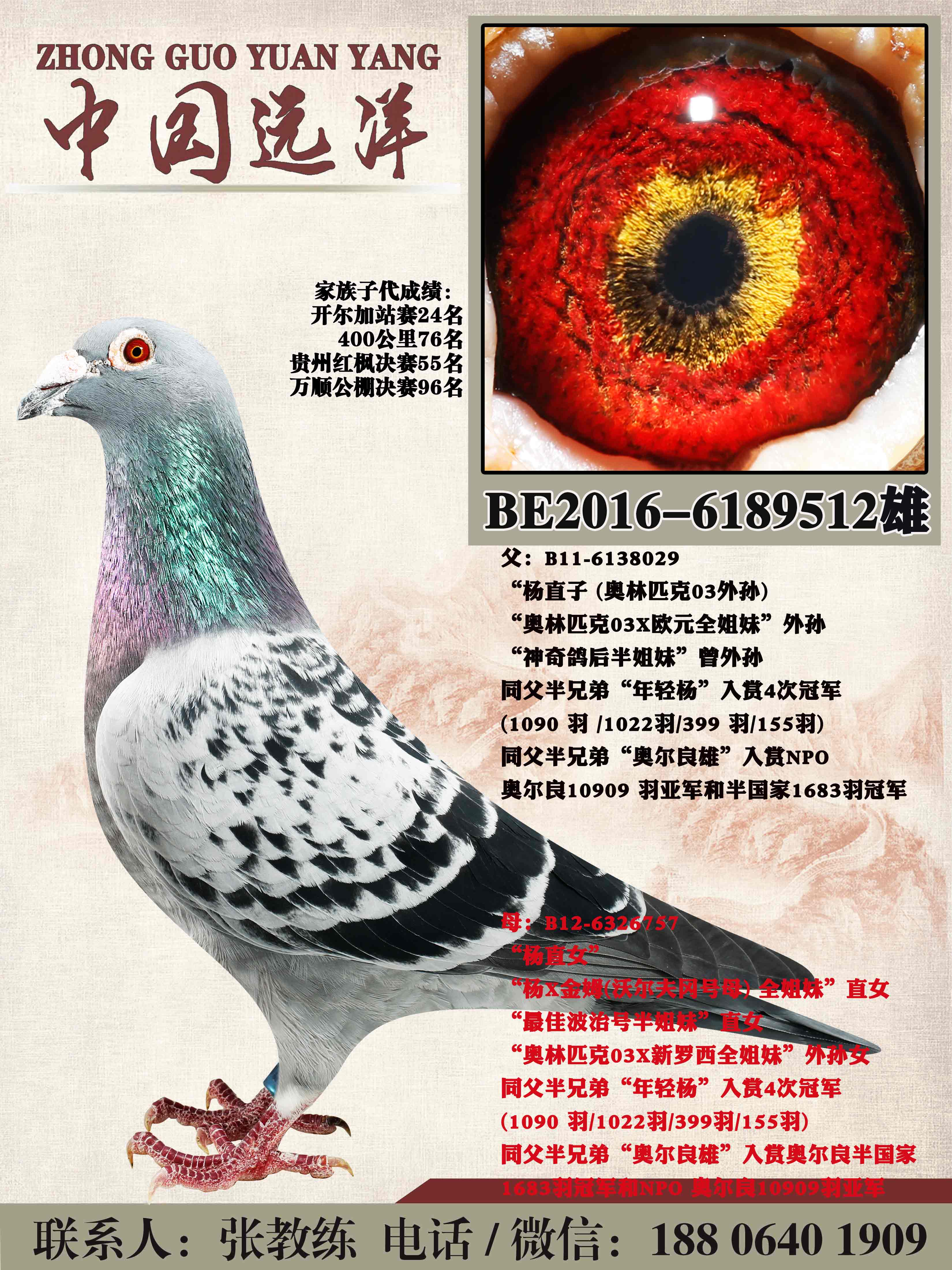 ������ֱ��