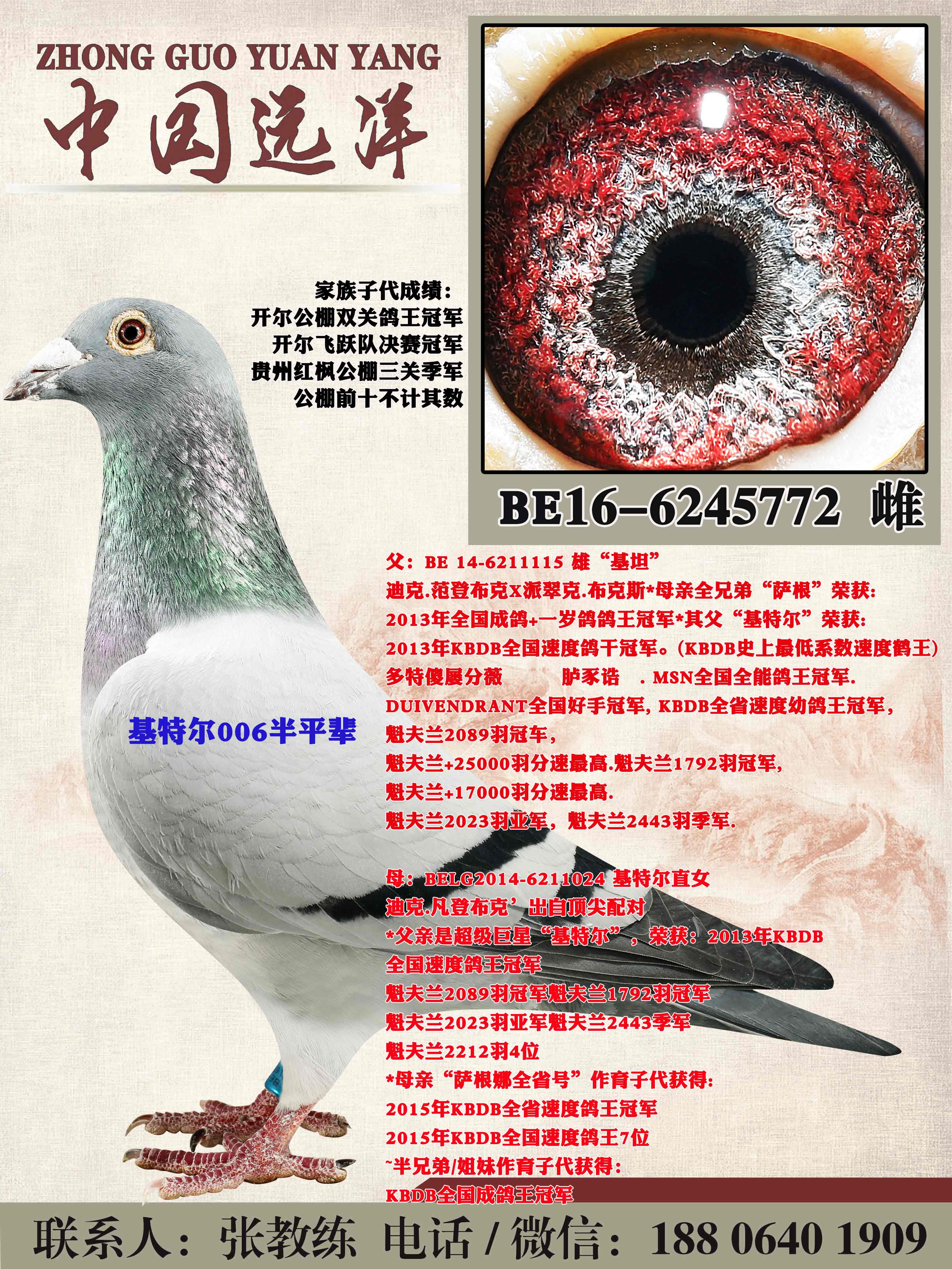 ����ƥ��006��ƽ��