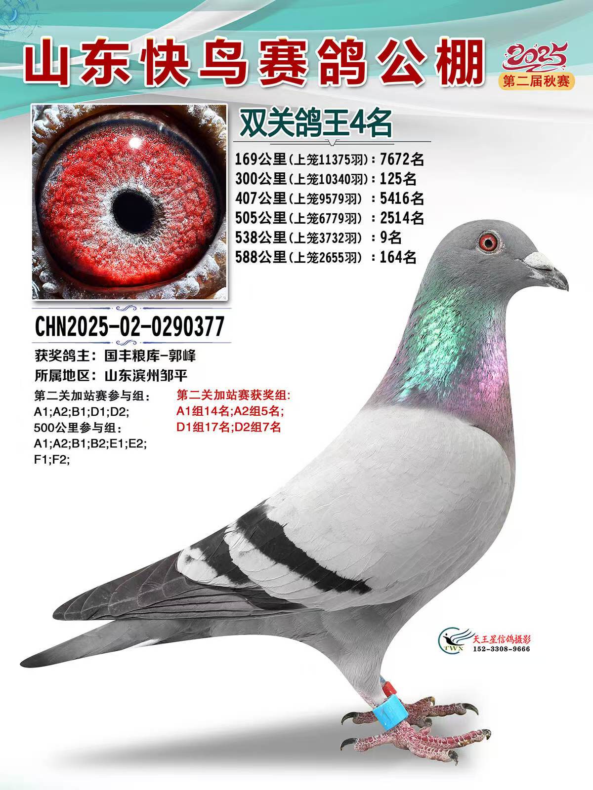 ɽ���������빫��˫�ظ���4��